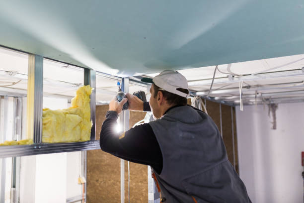 Best Insulation Installation Services in Kendall Park, NJ